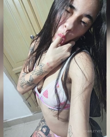 ScarletVex foto