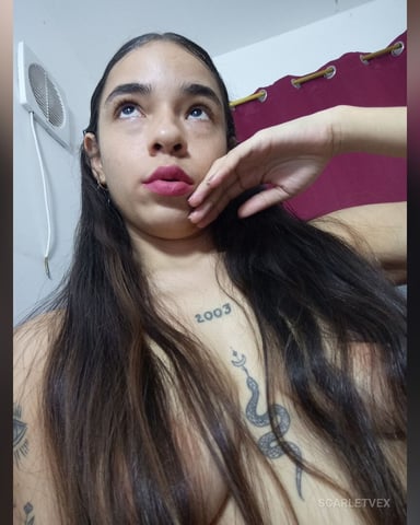 ScarletVex foto
