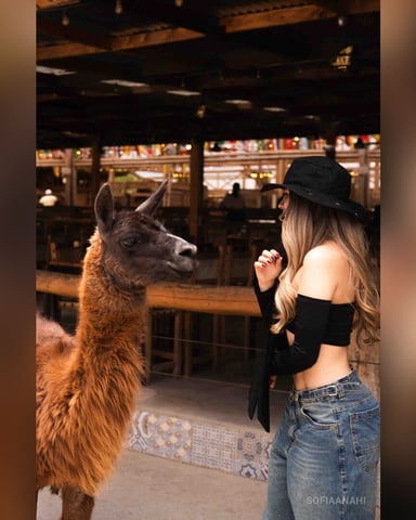 SofiaAnahi photo