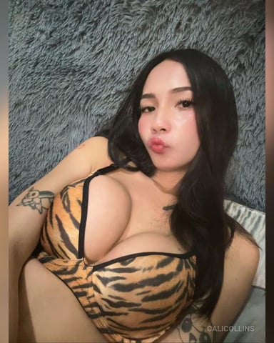 CaliCollins Foto