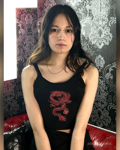 AriettiHamoe Foto