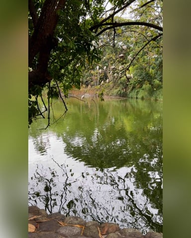 PerlaMoonroe photo