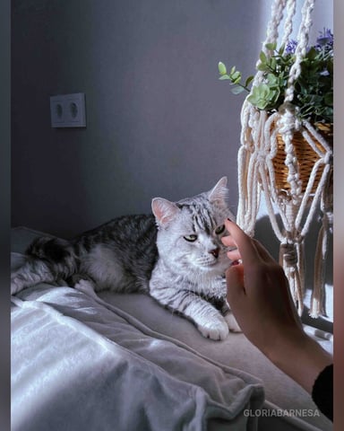 GloriaBarnesa, fotografie