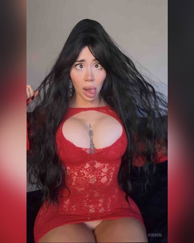VixSen Foto