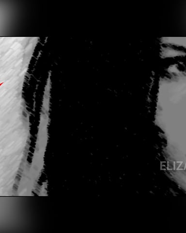 ElizabethCrowley Foto