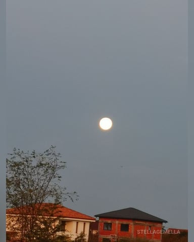 StellaGemella foto