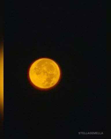 StellaGemella foto