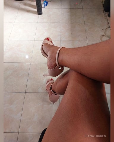 DianaTorres photo