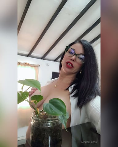 MorellaFox Foto