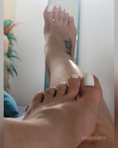 MorellaFox Foto