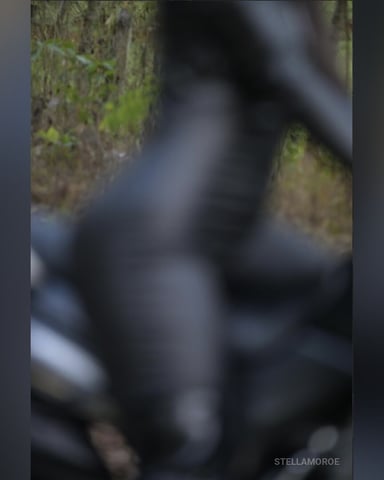 StellaMoroe Foto