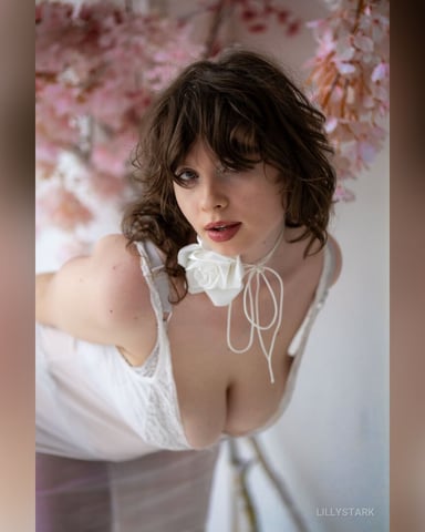 LillyStark, fotografie