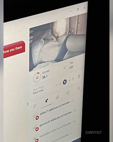 CurvyQT foto