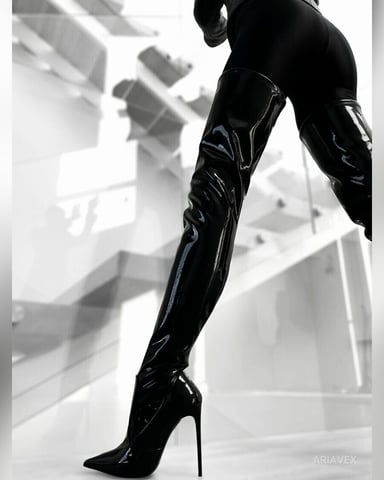 AriaVex photo