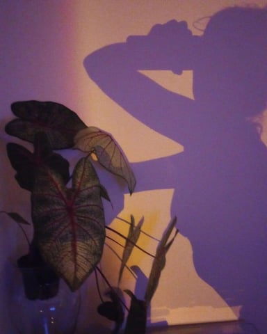 JulietaNovoa photo