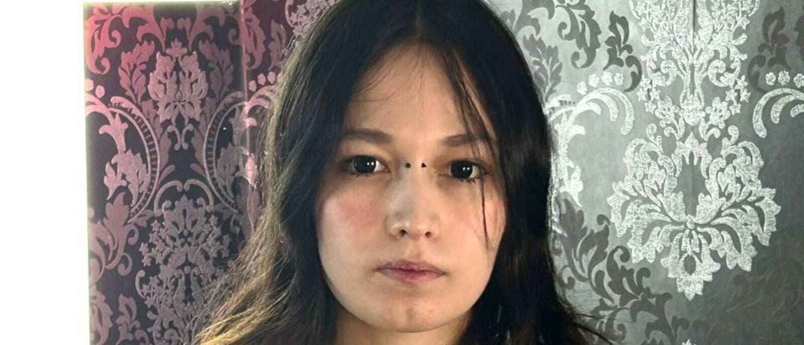 AriettiHamoe Cover-Foto